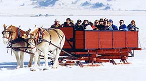 Sleighing fun