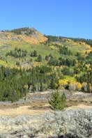 Fall colors near White Pine