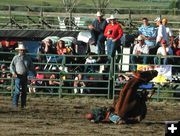 Bareback Horse Down. Photo by Pinedale Online.