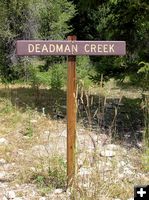 Deadman Creek. Photo by Pinedale Online.