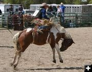 Saddle Bronc Rider. Photo by Pinedale Online.