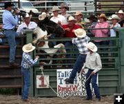 Rearing in the Chutes. Photo by Pinedale Online.
