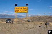 Wildlife Warning Sign. Photo by Wyoming Game & Fish photo.