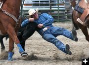 Steer Wrestling. Photo by Clint Gilchrist, Pinedale Online.
