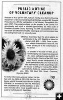 BP Public Notice ad. Photo by .