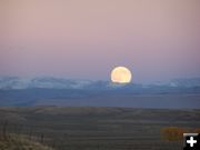 Harvest Moon. Photo by Scott Almdale.