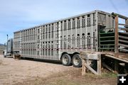Livestock truck. Photo by Joy Ufford.