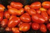 Plum Tomatoes. Photo by FDA.