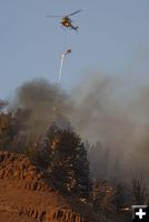 Torching Conifers. Photo by Photo by Mark Gocke, WGFD..