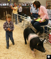Pee Wee Showmanship. Photo by Pinedale Online.