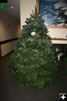 Christmas Tree. Photo by Dawn Ballou, Pinedale Online.