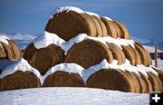 Hay Bale Pyramid. Photo by Dave Bell.