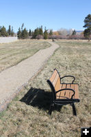Park benches. Photo by Dawn Ballou, Pinedale Online.