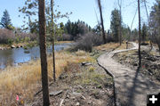 Creekside pathway. Photo by Dawn Ballou, Pinedale Online.