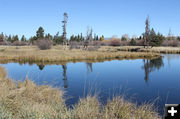 Wetlands. Photo by Dawn Ballou, Pinedale Online.