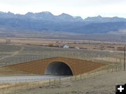 Wildlife Overpass. Photo by Dawn Ballou, Pinedale Online.