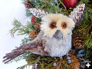 Owl detail. Photo by Dawn Ballou, Pinedale Online.