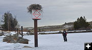 Mark and the Osprey Nest. Photo by Terry Allen.