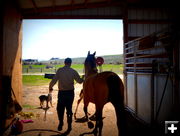 Leaving the Barn. Photo by Terry Allen.