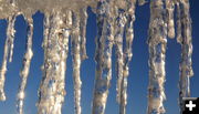 Row of icicles. Photo by Fred Pflughoft.