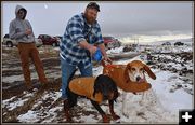 Carhart Dogs. Photo by Terry Allen.