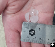Large hail. Photo by Cody Sims.