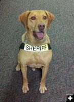 Max. Photo by Sublette County Sheriff's Office.