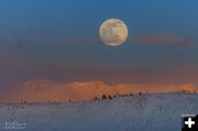 February Full Moon. Photo by Dave Bell.