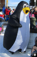 Penguin. Photo by Dawn Ballou, Pinedale Online.