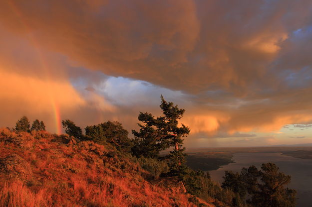 Rainbow sunset. Photo by Fred Pflughoft.