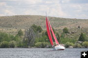 Sailing Regatta. Photo by Mindi Crabb.