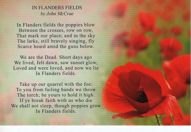 In Flanders Field. Photo by .