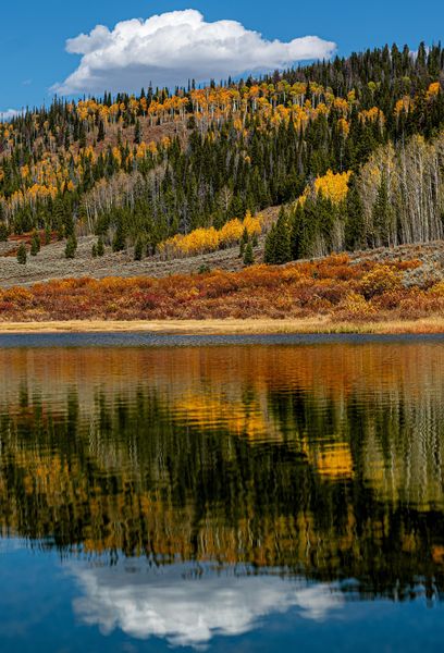 Fall color reflection . Photo by Tony Vitolo.