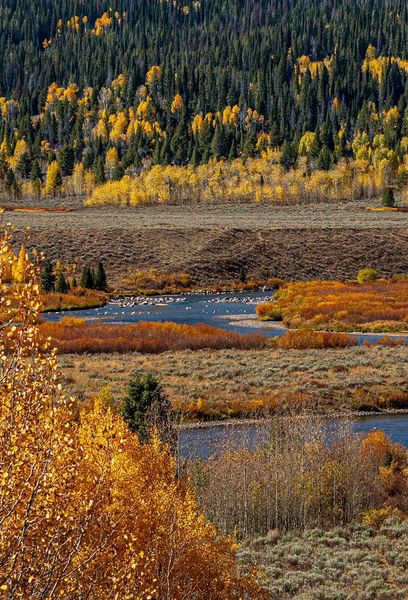 Fall colors. Photo by Tony Vitolo.