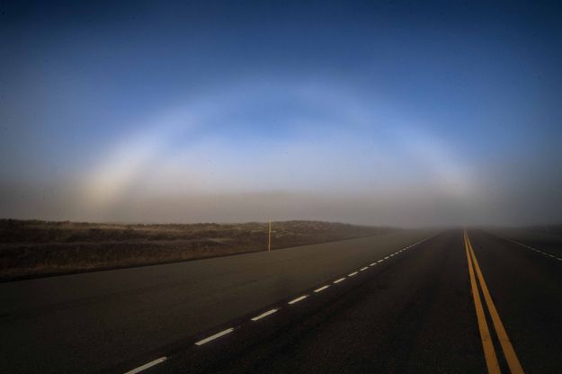 Fog Bow. Photo by Dave Bell.