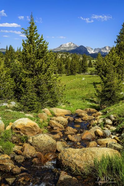 Beautiful View. Photo by Dave Bell.