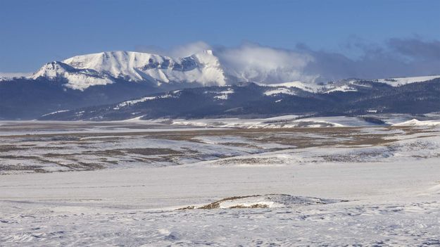 . Photo by Dave Bell.