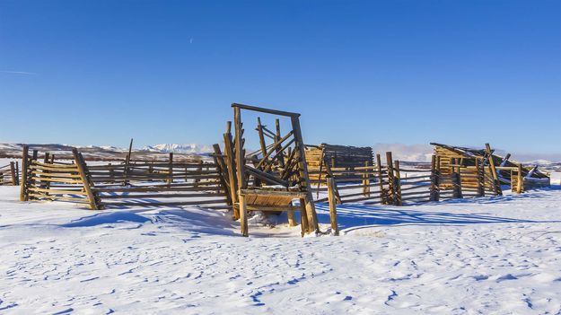 . Photo by Dave Bell.