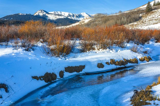 Stream Bend. Photo by Dave Bell.