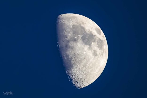 December Moon. Photo by Dave Bell.