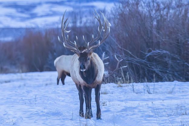 . Photo by Dave Bell.