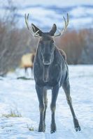 Whoa. Photo by Dave Bell.