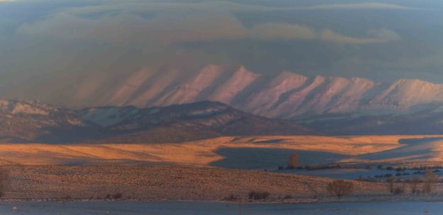 Sawtooth Pastel. Photo by Dave Bell.