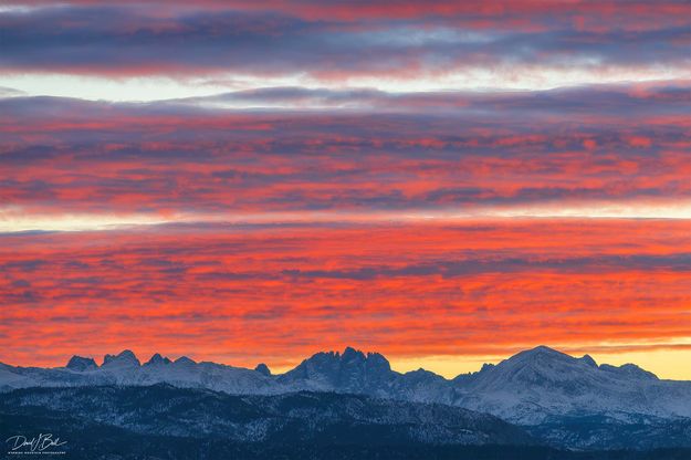 Bonneville Color. Photo by Dave Bell.