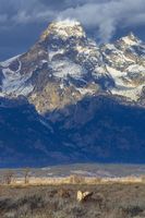 Beautiful Mountains. Photo by Dave Bell.