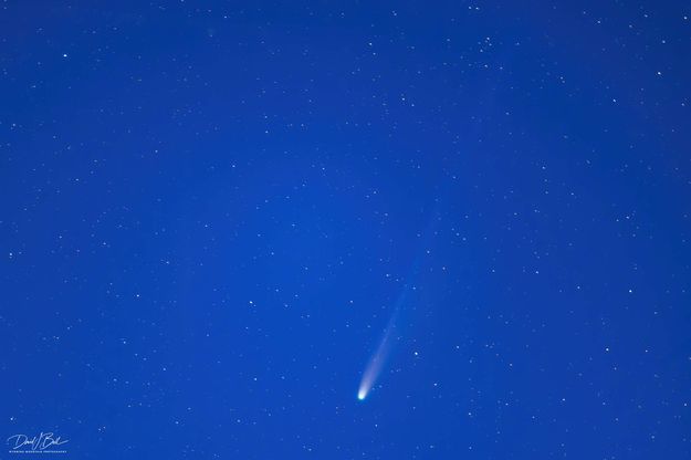 Comet Lemmon. Photo by Dave Bell.