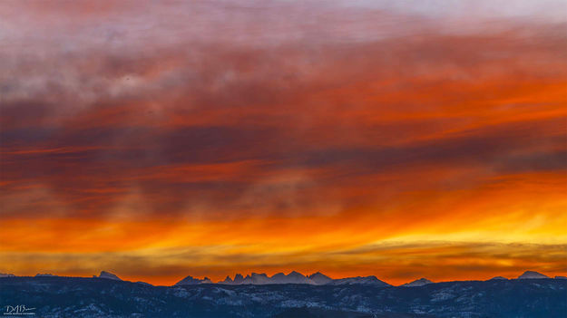 . Photo by Dave Bell.