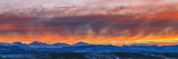 . Photo by Dave Bell.