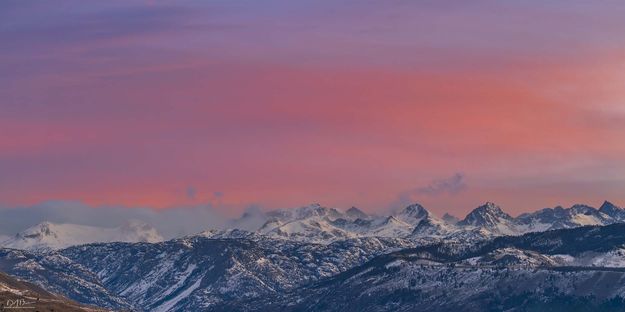 . Photo by Dave Bell.