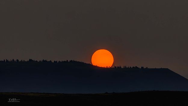 Red Sun Rising. Photo by Dave Bell.